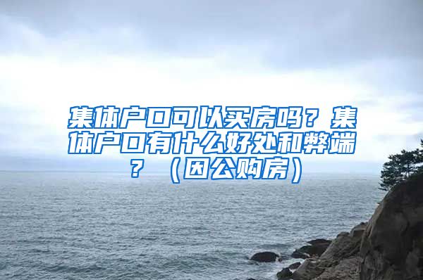 集體戶口可以買房嗎？集體戶口有什么好處和弊端？（因公購房）