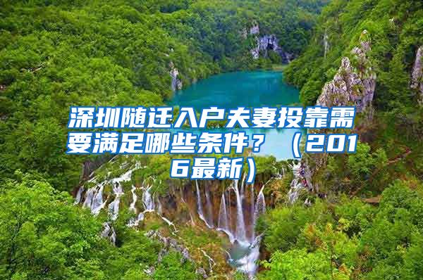 深圳隨遷入戶夫妻投靠需要滿足哪些條件？（2016最新）