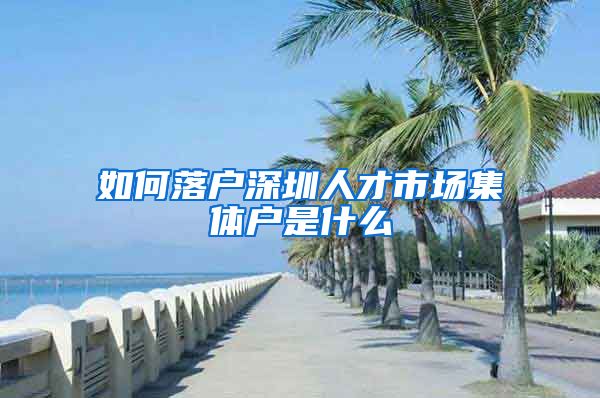 如何落戶深圳人才市場集體戶是什么