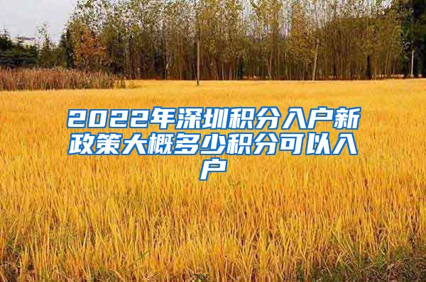 2022年深圳積分入戶新政策大概多少積分可以入戶