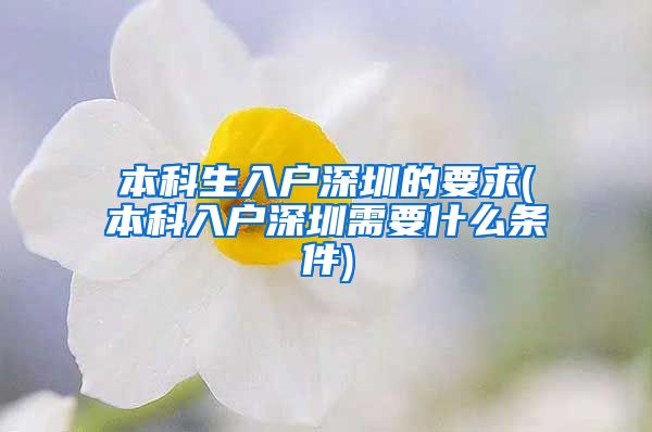 本科生入戶深圳的要求(本科入戶深圳需要什么條件)