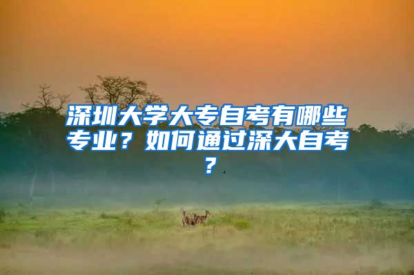 深圳大學大專自考有哪些專業(yè)？如何通過深大自考？