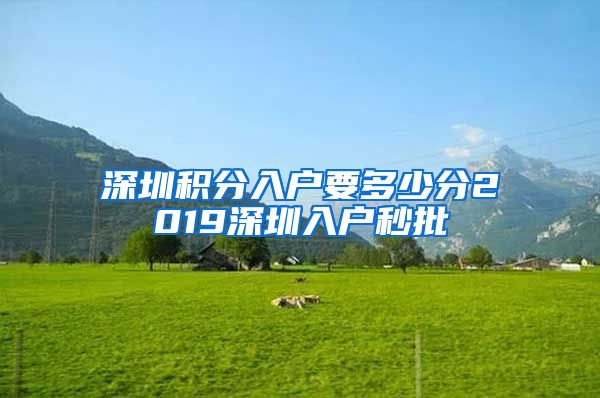 深圳積分入戶要多少分2019深圳入戶秒批