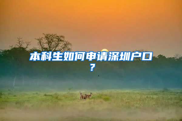 本科生如何申請深圳戶口？