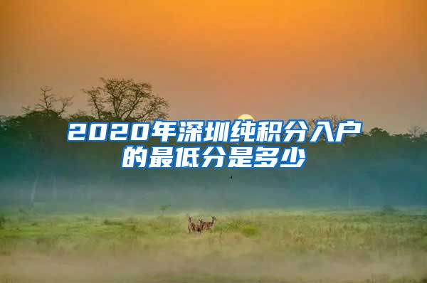 2020年深圳純積分入戶的最低分是多少