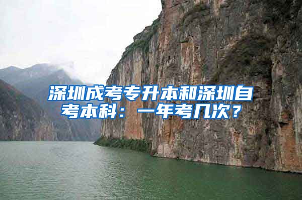 深圳成考專升本和深圳自考本科：一年考幾次？