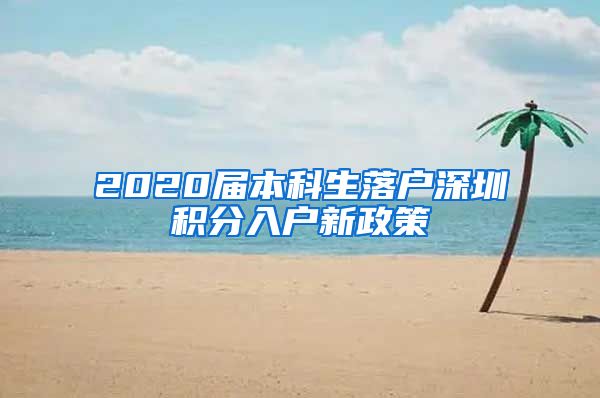 2020屆本科生落戶深圳積分入戶新政策