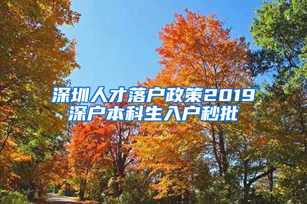 深圳人才落戶政策2019深戶本科生入戶秒批