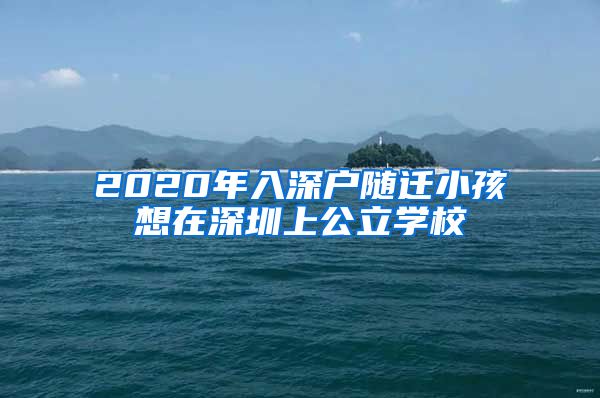 2020年入深戶隨遷小孩想在深圳上公立學校