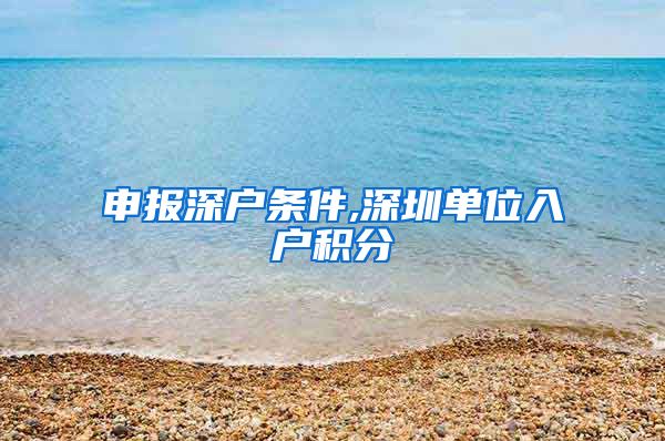 申報深戶條件,深圳單位入戶積分