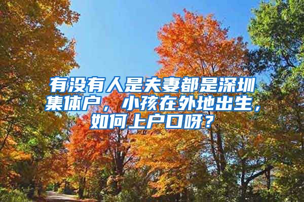 有沒有人是夫妻都是深圳集體戶，小孩在外地出生，如何上戶口呀？