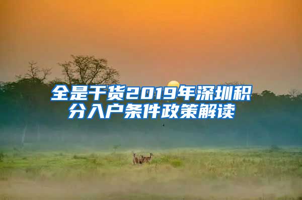 全是干貨2019年深圳積分入戶條件政策解讀