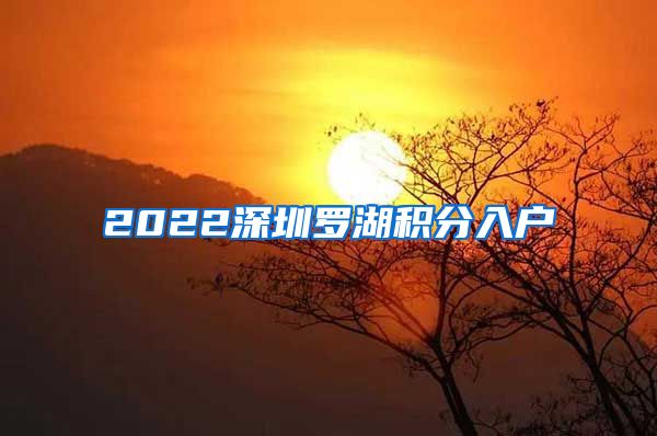 2022深圳羅湖積分入戶