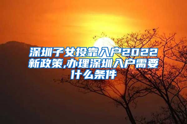 深圳子女投靠入戶2022新政策,辦理深圳入戶需要什么條件