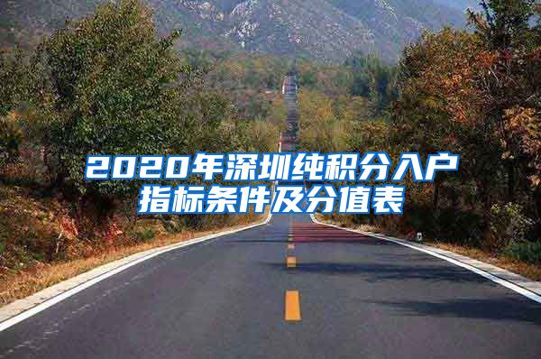 2020年深圳純積分入戶指標條件及分值表