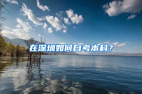 在深圳如何自考本科？