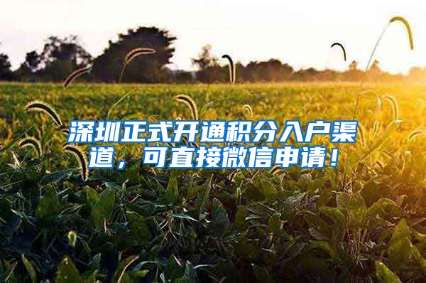 深圳正式開通積分入戶渠道，可直接微信申請！