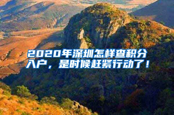 2020年深圳怎樣查積分入戶，是時(shí)候趕緊行動(dòng)了！