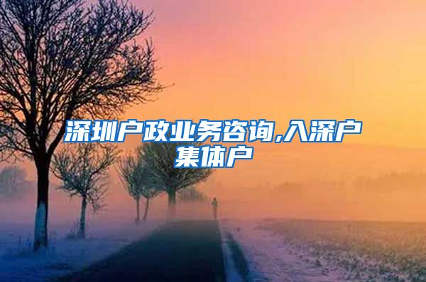 深圳戶政業(yè)務(wù)咨詢,入深戶集體戶