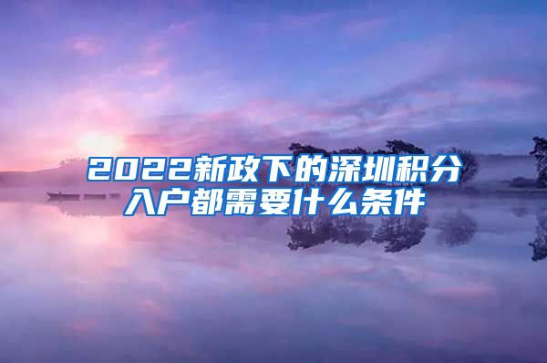 2022新政下的深圳積分入戶都需要什么條件