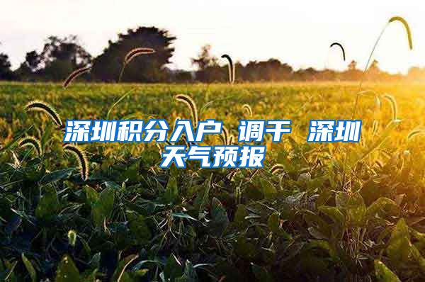 深圳積分入戶 調(diào)干 深圳天氣預(yù)報