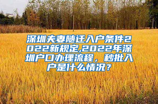 深圳夫妻隨遷入戶條件2022新規(guī)定,2022年深圳戶口辦理流程，秒批入戶是什么情況？