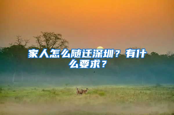 家人怎么隨遷深圳？有什么要求？