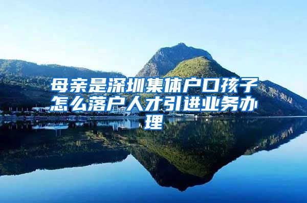 母親是深圳集體戶口孩子怎么落戶人才引進(jìn)業(yè)務(wù)辦理