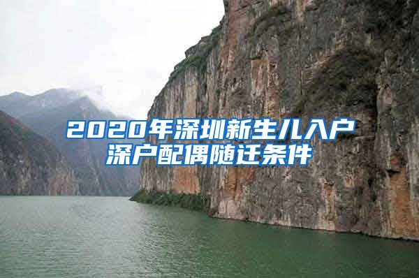 2020年深圳新生兒入戶深戶配偶隨遷條件