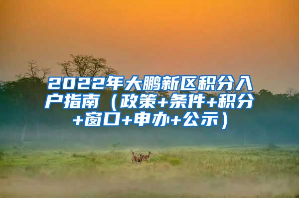 2022年大鵬新區(qū)積分入戶(hù)指南（政策+條件+積分+窗口+申辦+公示）