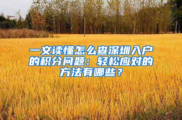 一文讀懂怎么查深圳入戶的積分問題：輕松應(yīng)對的方法有哪些？