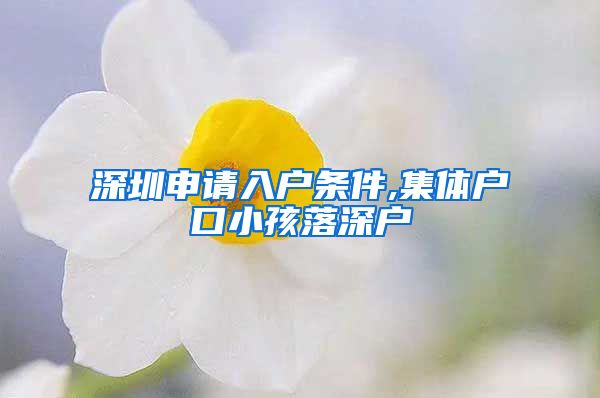 深圳申請入戶條件,集體戶口小孩落深戶