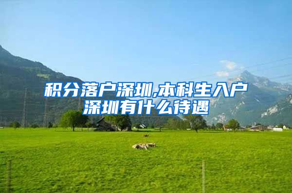 積分落戶深圳,本科生入戶深圳有什么待遇