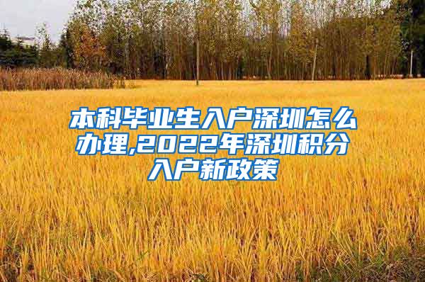 本科畢業(yè)生入戶深圳怎么辦理,2022年深圳積分入戶新政策