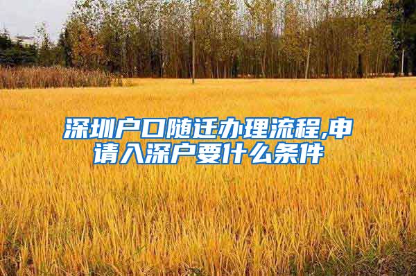 深圳戶口隨遷辦理流程,申請(qǐng)入深戶要什么條件