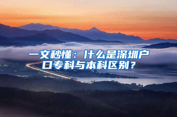 一文秒懂：什么是深圳戶口?？婆c本科區(qū)別？