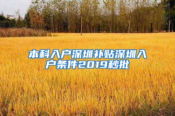 本科入戶深圳補貼深圳入戶條件2019秒批