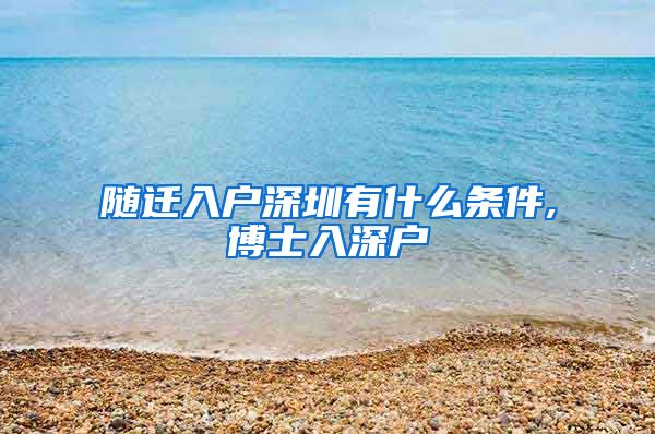 隨遷入戶深圳有什么條件,博士入深戶