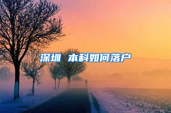 深圳 本科如何落戶