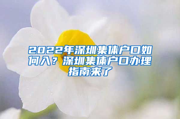 2022年深圳集體戶口如何入？深圳集體戶口辦理指南來(lái)了