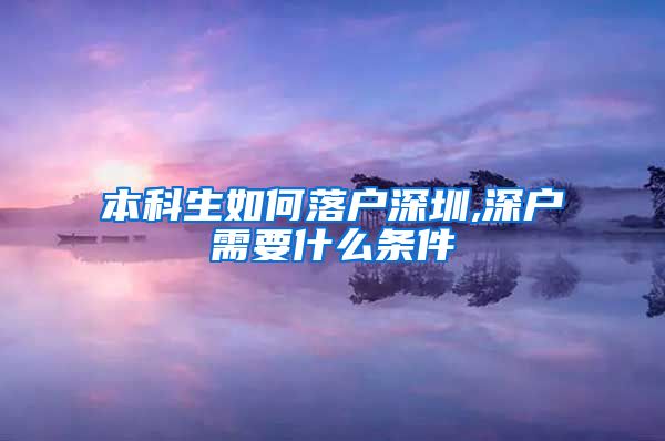 本科生如何落戶深圳,深戶需要什么條件