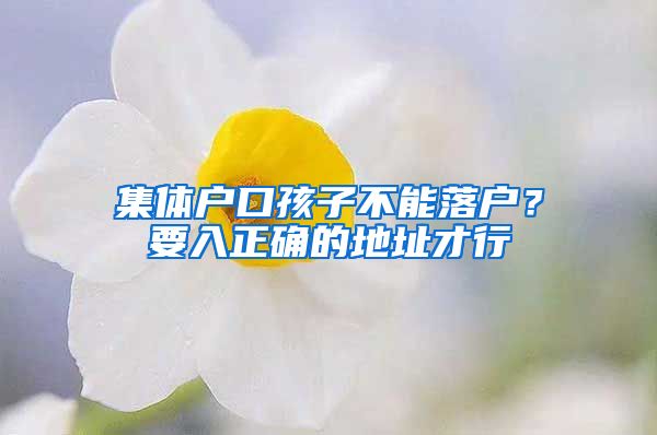 集體戶口孩子不能落戶？要入正確的地址才行