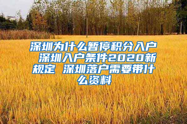 深圳為什么暫停積分入戶 深圳入戶條件2020新規(guī)定 深圳落戶需要帶什么資料