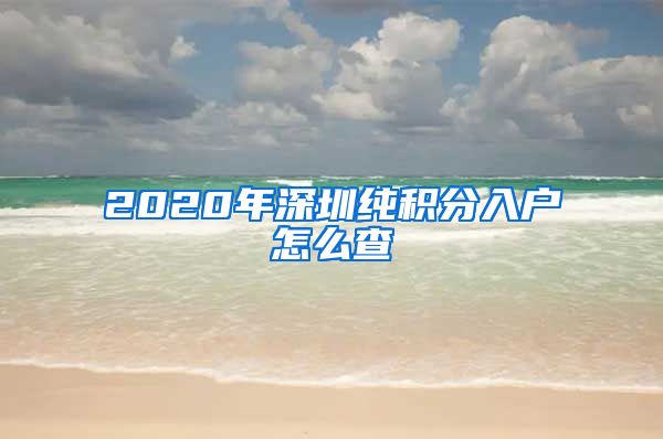 2020年深圳純積分入戶怎么查