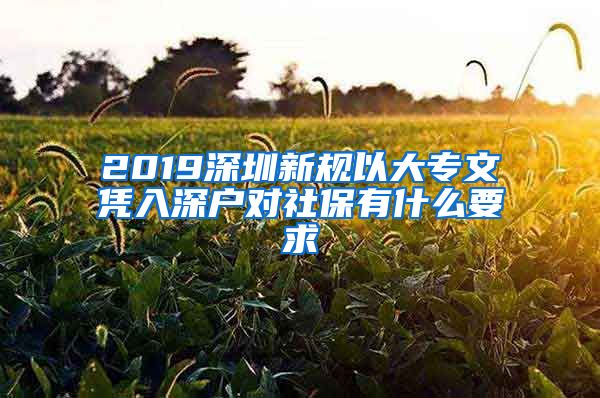 2019深圳新規(guī)以大專(zhuān)文憑入深戶對(duì)社保有什么要求