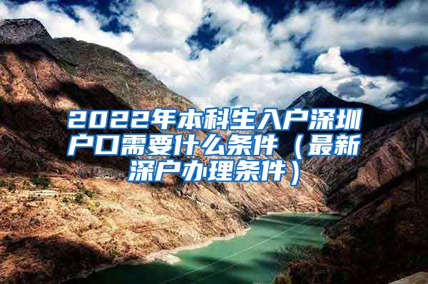 2022年本科生入戶深圳戶口需要什么條件（最新深戶辦理條件）