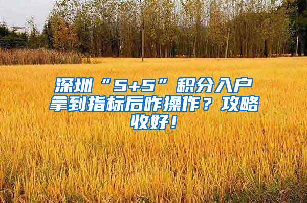 深圳“5+5”積分入戶拿到指標(biāo)后咋操作？攻略收好！