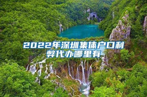 2022年深圳集體戶口利弊代辦哪里有