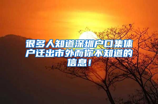 很多人知道深圳戶口集體戶遷出市外而你不知道的信息！