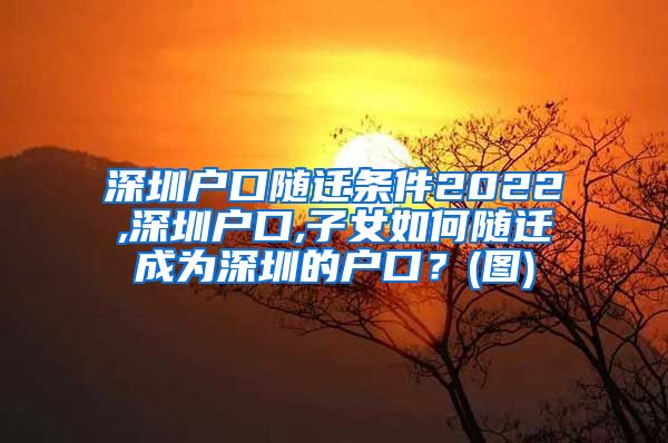 深圳戶(hù)口隨遷條件2022,深圳戶(hù)口,子女如何隨遷成為深圳的戶(hù)口？(圖)